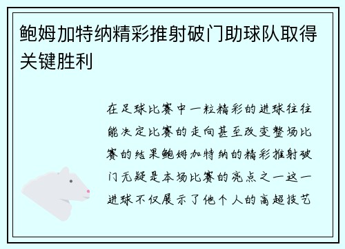 鲍姆加特纳精彩推射破门助球队取得关键胜利