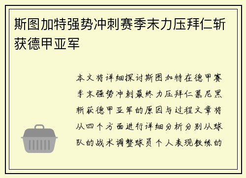 斯图加特强势冲刺赛季末力压拜仁斩获德甲亚军
